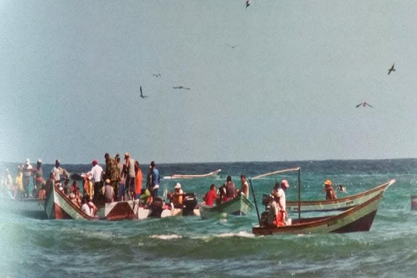 El Don de Paraguachoa: Donde el viento teje la abundancia marina