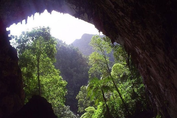 La Cueva del Guácharo: Un tesoro subterráneo