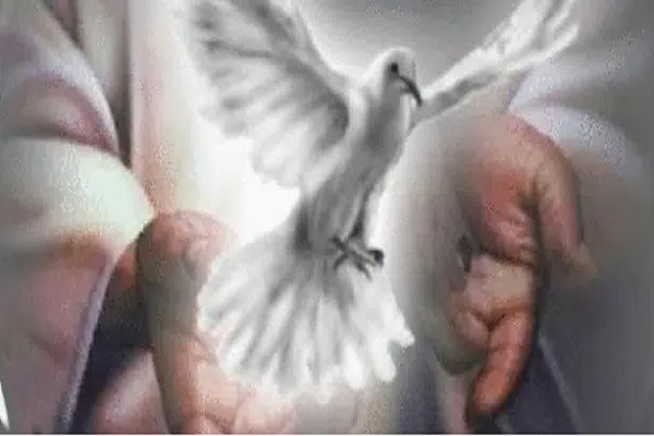 Evangelio 26 de mayo: El Espíritu de la verdad dará testimonio de mí 