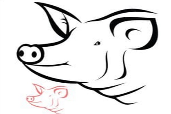 La Décima en el Día a Día: Cabeza de puerco deshuesada