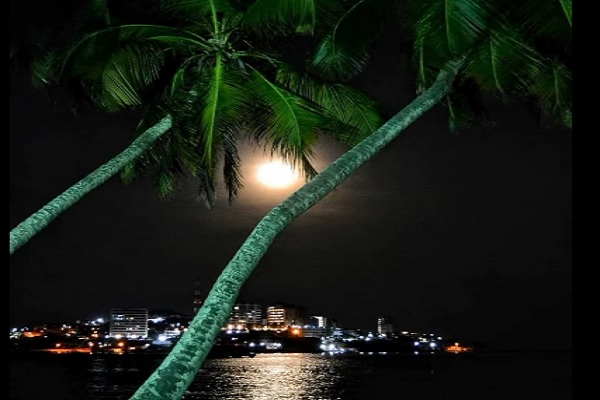 Luz de Luna en Pampatar