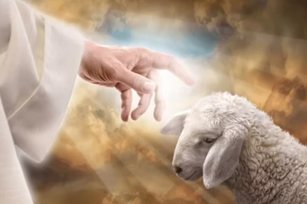 Evangelio 27 de junio: He encontrado la oveja que se me había perdido