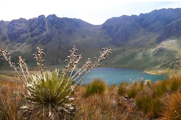 "Páramos de Leyendas": Un viaje al corazón de los Andes Venezolanos