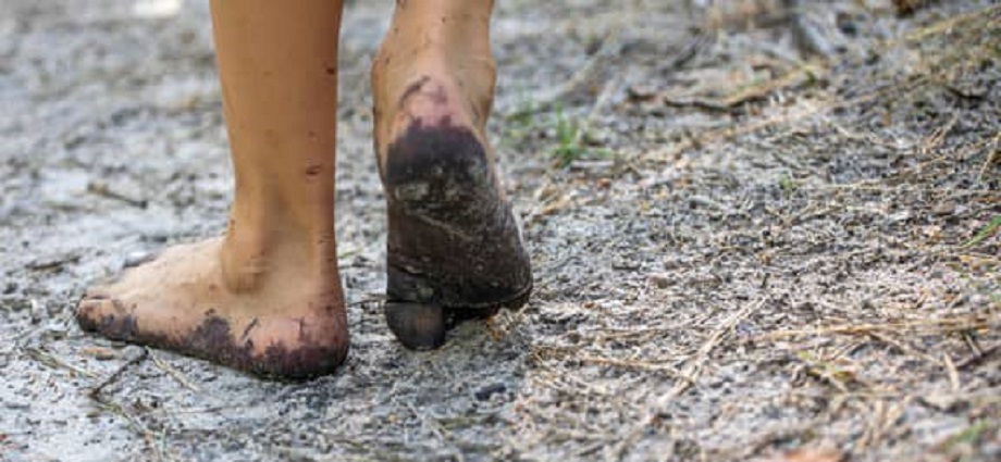Los amigos de Capay, la Décima y el Pie Forzado: Con los pies sobre la tierra