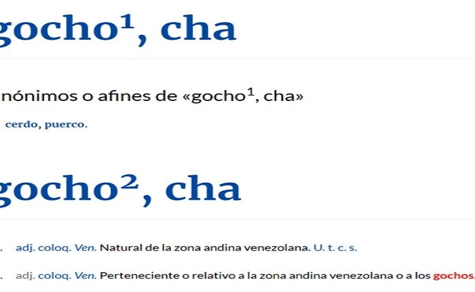 La RAE reconoce "Gocho" como gentilicio andino