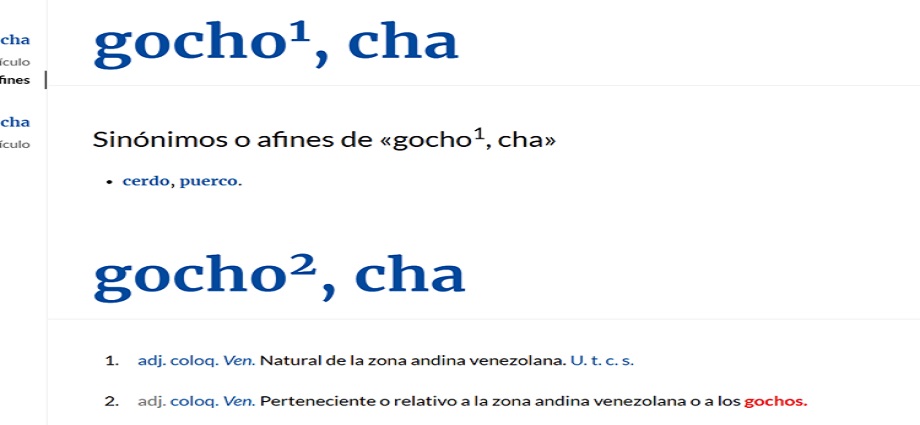 La RAE reconoce "Gocho" como gentilicio andino