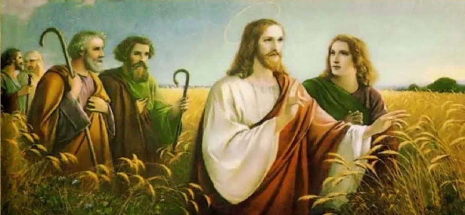 Evangelio y mensaje del Padre Darío: 18 de julio