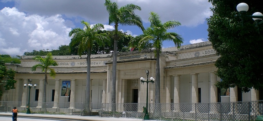 ¡Plan Gratis en Caracas! Museo de Ciencias celebra el Día del Niño