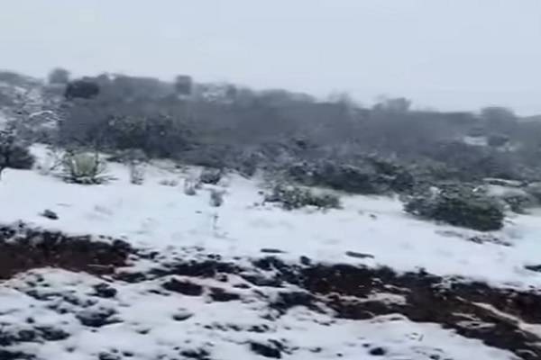Mérida se cubre de nieve en un espectáculo natural que contrasta con la reciente tragedia