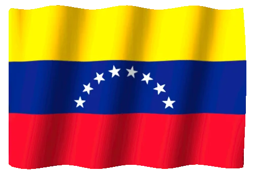 3 de agosto: Un día para celebrar la bandera venezolana