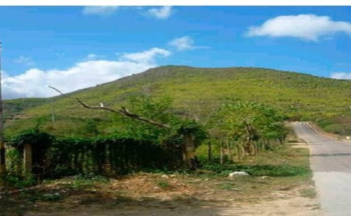 ¿Qué pasó en el portachuelo de El Maco el 7 de agosto de 1817?