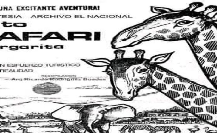 Auto Safari Margarita