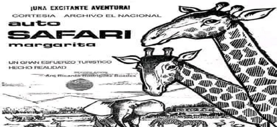 Auto Safari Margarita