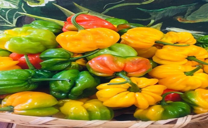 La Décima en el Día a Día: Feria del ají margariteño