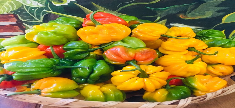 La Décima en el Día a Día: Feria del ají margariteño