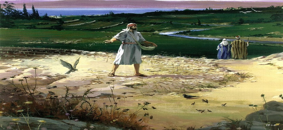 Evangelio y mensaje del Padre Darío: 20 de septiembre