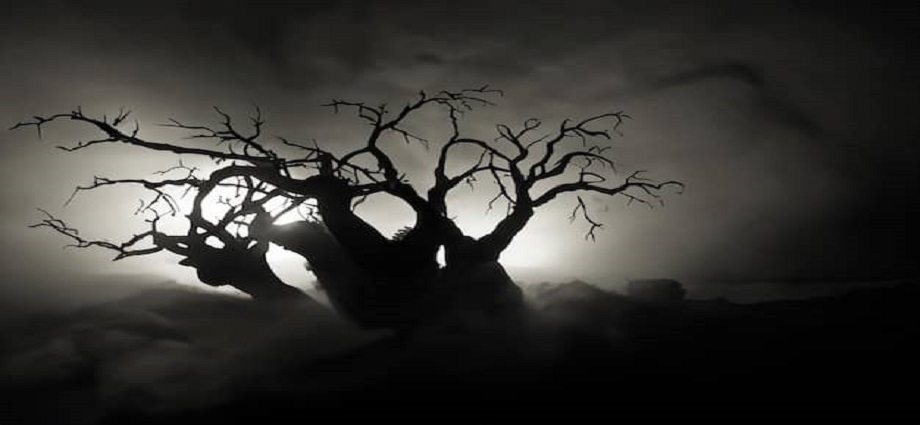 La alcancía de las palabras y sus coroticos: Una formidable noche