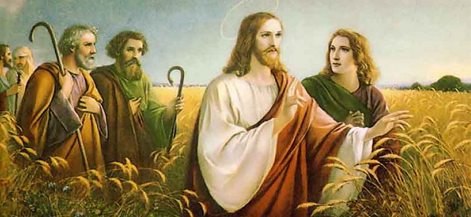 Evangelio y mensaje del Padre Darío: 6 de septiembre