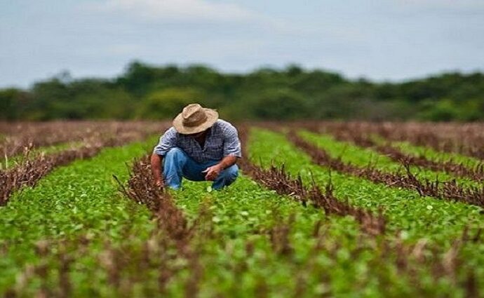 Día Mundial de la Agricultura