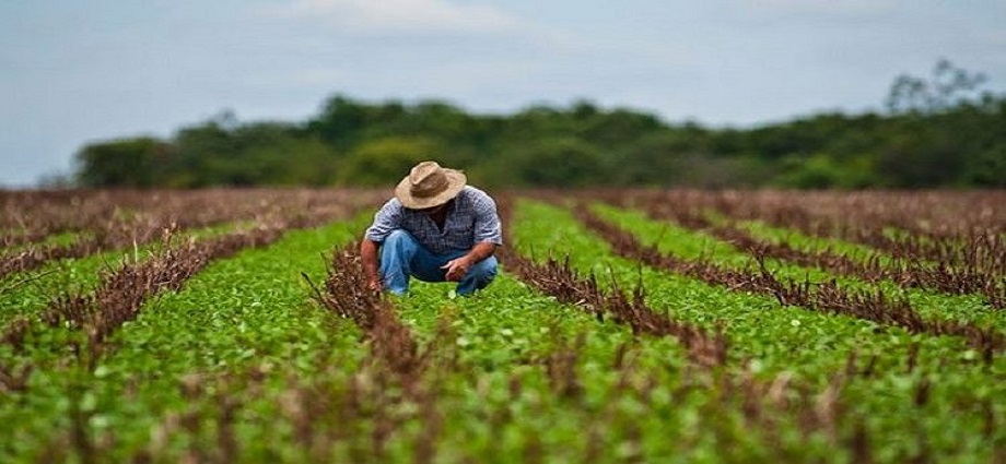 Día Mundial de la Agricultura