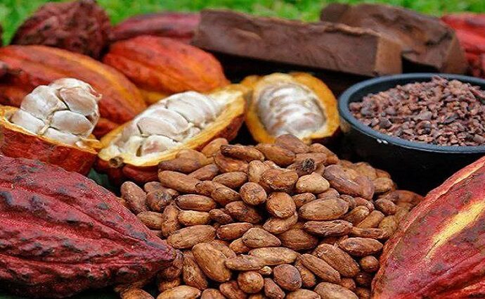 Día Internacional del Chocolate: Venezuela, cuna del cacao fino