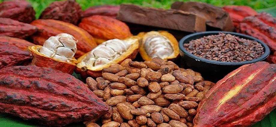 Día Internacional del Chocolate: Venezuela, cuna del cacao fino