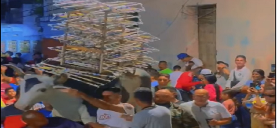El Copey se ilumina para celebrar 115 años de la tradicional "Quema de la Vaca"