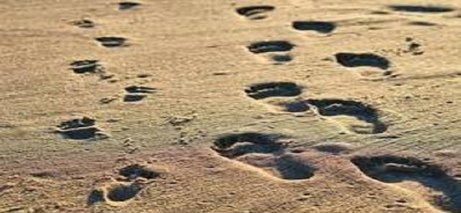 Pensando en Décimas: El destino no está escrito en una piedra