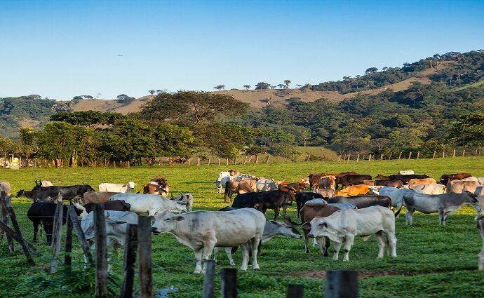 Efemérides Venezolanas: 29 de octubre