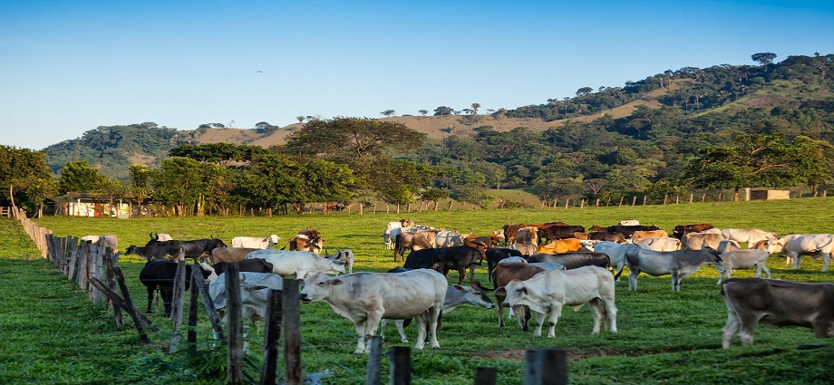 Efemérides Venezolanas: 29 de octubre