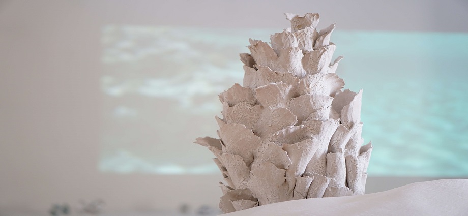 "Entrega a La Mar" unirá arte, ciencia y alfarería para regenerar el fondo marino de Margarita