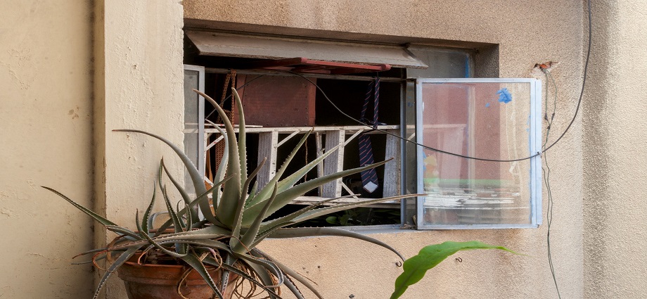 Galería ABRA inaugura “Intenciones y Soluciones”