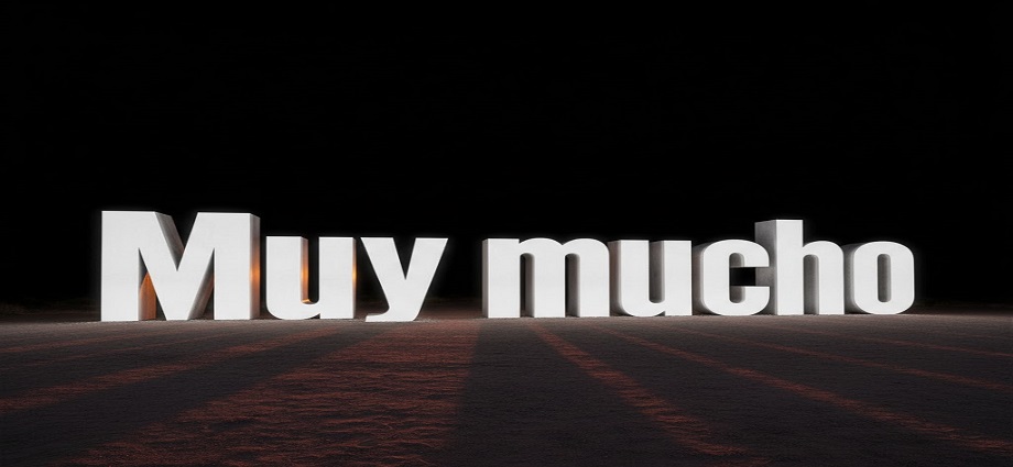 La alcancía de las palabras y sus coroticos: Muy mucho