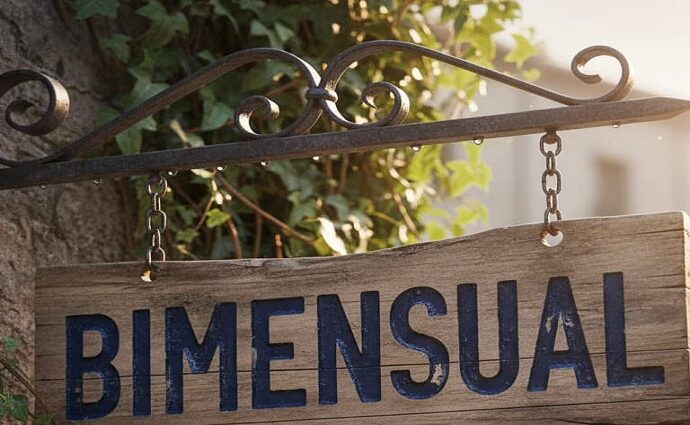 La alcancía de las palabras y sus coroticos: Bimensual