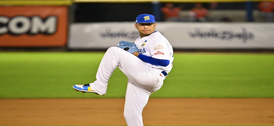 Magallanes y Leones intercambian a Vizcaya y Yohander Méndez