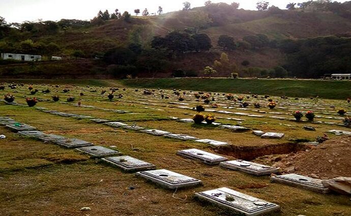 El Día de los Fieles Difuntos: Un puente de fe entre el Cielo y la Tierra