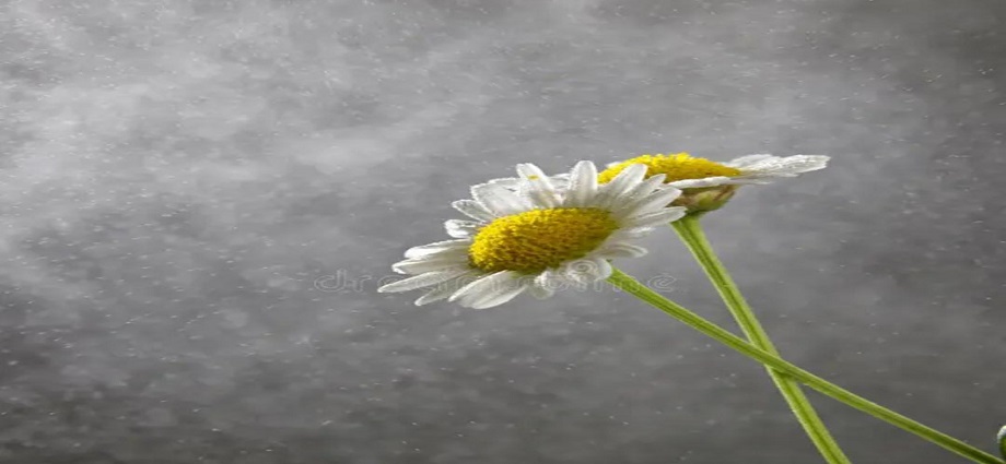 La Décima en el día a día: Cuando llueve en Margarita