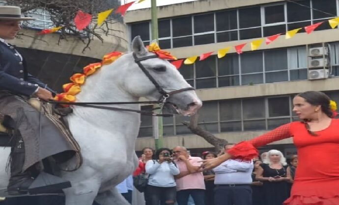 Barquisimeto celebrará la danza y la poesía española