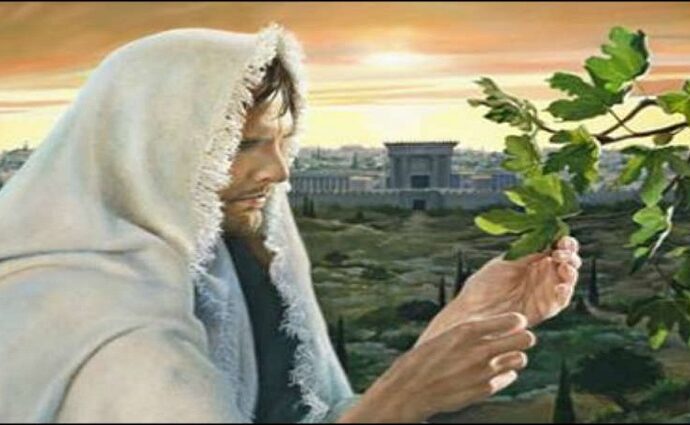 Evangelio y mensaje del Padre Darío: 28 de noviembre