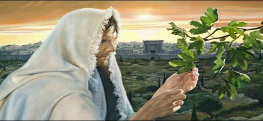 Evangelio y mensaje del Padre Darío: 28 de noviembre