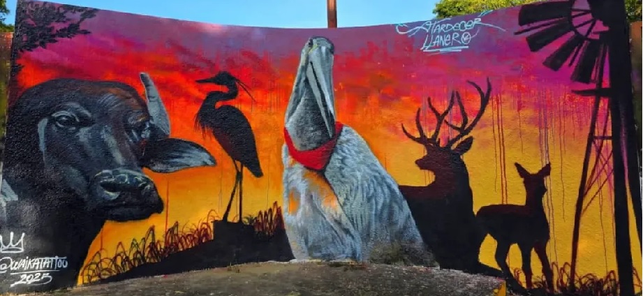 Inauguran 20 murales que exaltan la identidad llanera