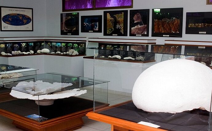 Museo Marino de Margarita: Visionario legado de Cervigón