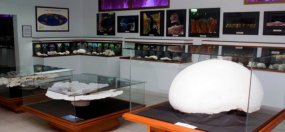 Museo Marino de Margarita: Visionario legado de Cervigón