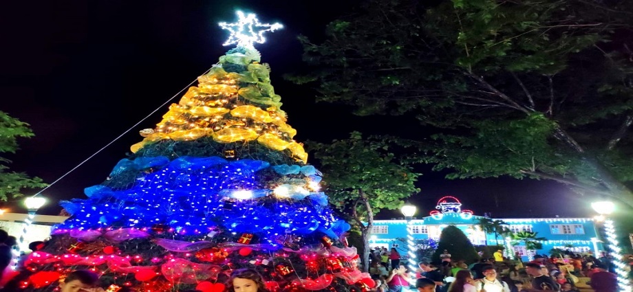 Juan Griego se viste de luces navideñas este viernes