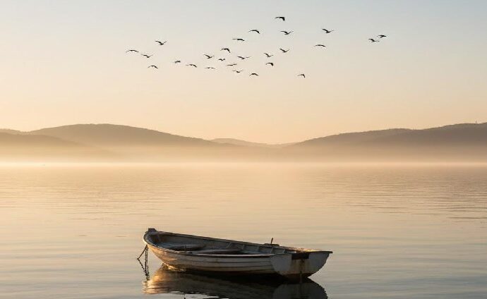 La Décima en el día a día: Y llegue la paz con calma