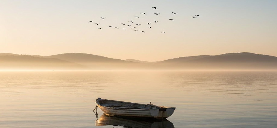 La Décima en el día a día: Y llegue la paz con calma