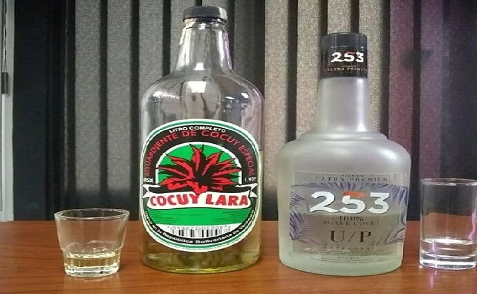 El Agave Cocuy se consolida como nuevo estandarte económico de Venezuela