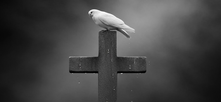 El adiós a leyendas venezolanas: In Memoriam 2025