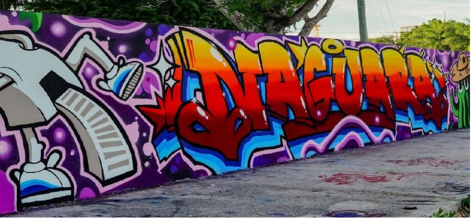 ¡Naguará en Miami! artistas larenses dejan huella en Wynwood