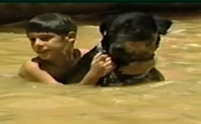 Orión: El ángel de cuatro patas que desafió a la naturaleza